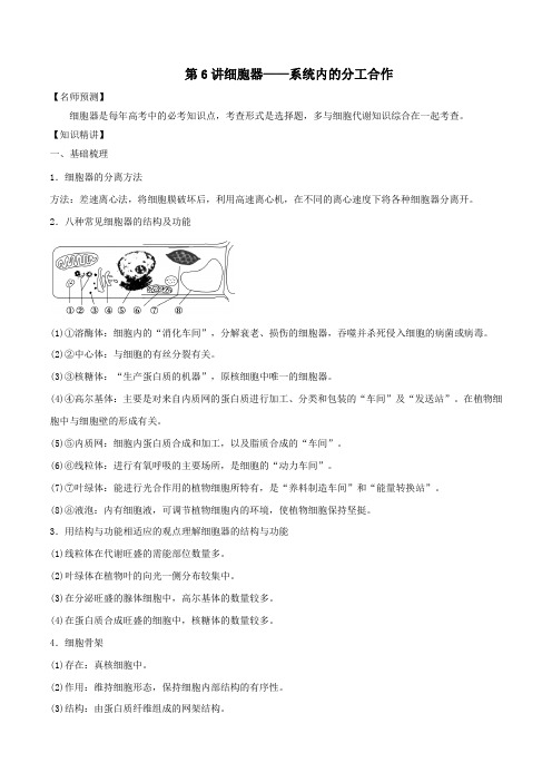 山东省2020年高考生物一轮复习考点扫描专题06细胞器___系统内的分工合作(含解析)