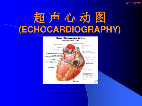 超声心动图(心肌病)