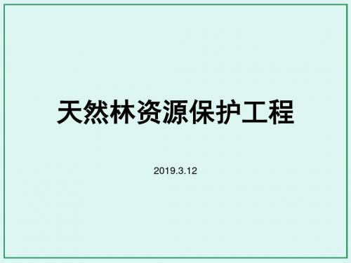 天然林保护工程 共16页PPT资料