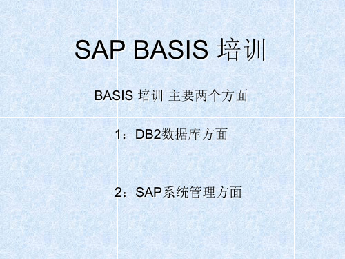 SAP BASIS 培训