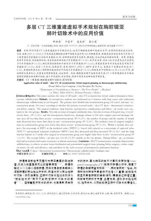 多层CT三维重建虚拟手术规划在胸腔镜亚肺叶切除术中的应用价值