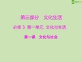 《高考风向标》高考政治一轮复习 第三部分 第一单元 第一课文化与社会课件 新人教版必修3