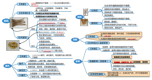 中药鉴定学笔记2