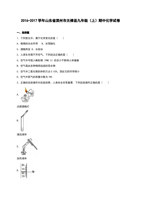 山东省滨州市无棣县2017届九年级(上)期中化学试卷(解析版)