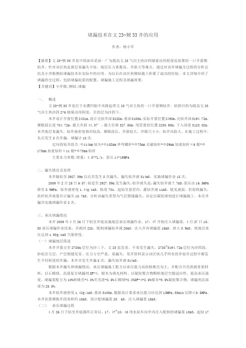 堵漏技术在文23