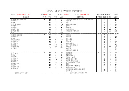 辽宁石油化工大学学生成绩单