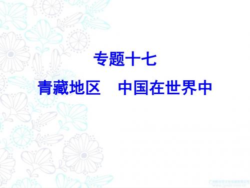 2018年地理中考专题突破专题17 青藏地区 中国在世界中