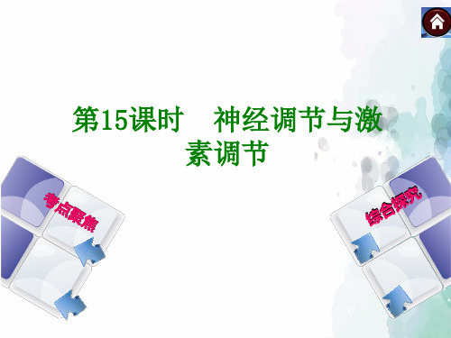 人教版-生物-七年级下册-生物精品复习课件:第15课时 神经调节与激素调节