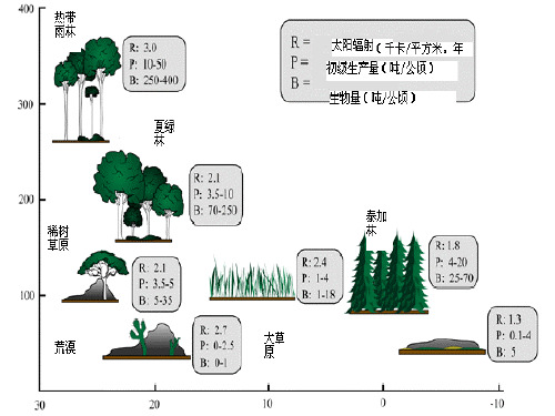 十二章生态系统中的能量流动