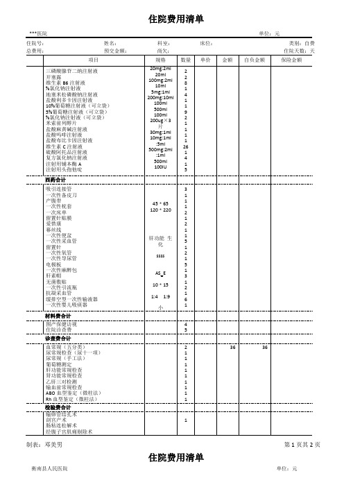 住院费用清单模板