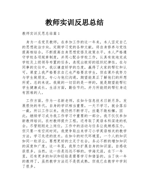 教师实训反思总结