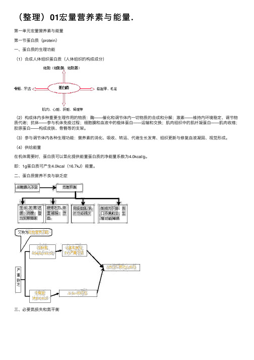 （整理）01宏量营养素与能量.