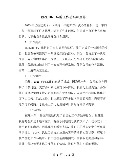 我在2023年的工作总结和反思