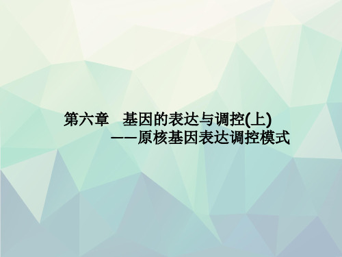 第l七章原核生物基因表达调控模式