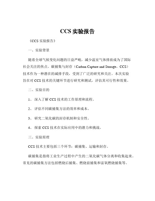 CCS实验报告