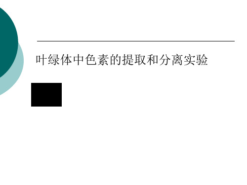 叶绿体色素提取与分离实验