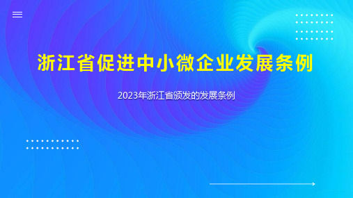 浙江省促进中小微企业发展条例