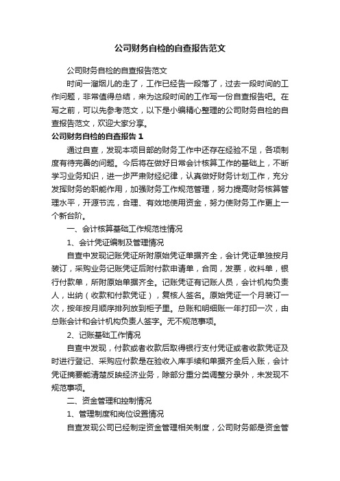 公司财务自检的自查报告范文