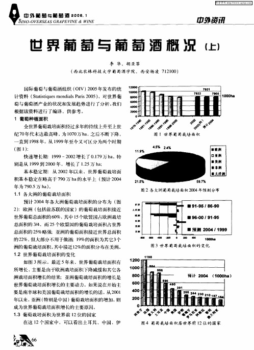 世界葡萄与葡萄酒概况(上)