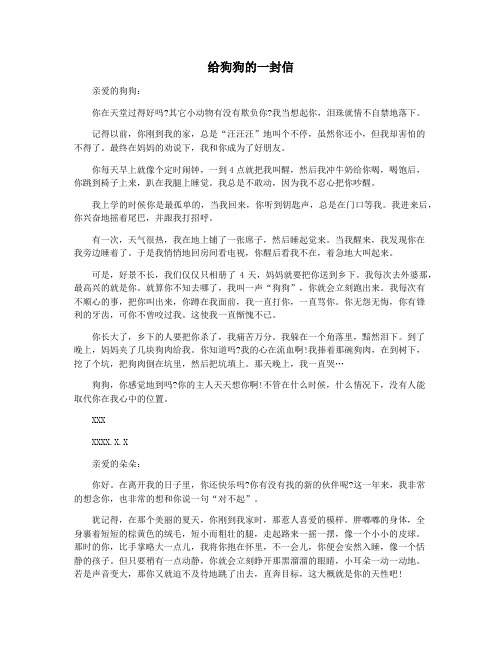 给狗狗的一封信