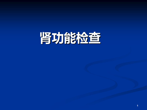 诊断学肾脏实验室检查ppt课件