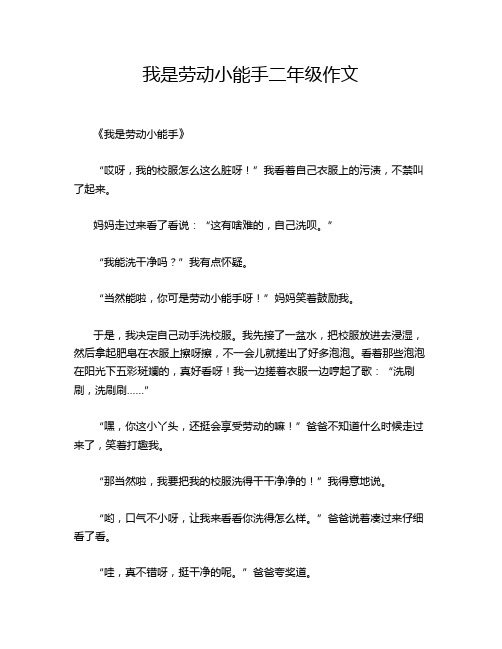 我是劳动小能手二年级作文