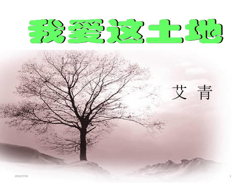 人教部编版语文九年级上册 第2课《我爱这土地》课件 (共26张PPT)