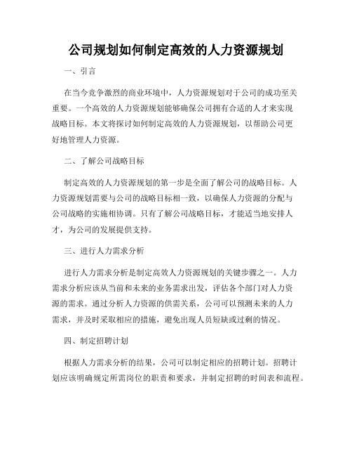 公司规划如何制定高效的人力资源规划