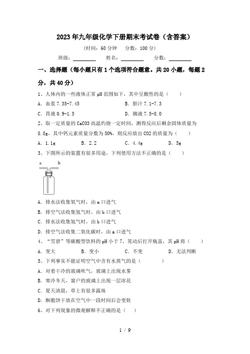 2023年九年级化学下册期末考试卷(含答案)