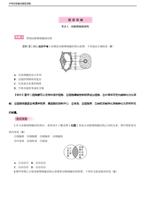 中考生物重点题型攻略 考点3  动植物细胞结构