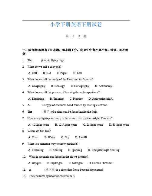 小学下册第11次英语下册试卷