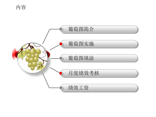 员工绩效管理葡萄图ppt课件