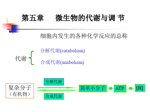 第五章微生物的代谢与调控