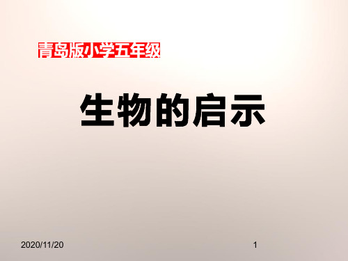 小学五年级下册科学《生物的启示》PPT优质课件