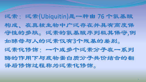 泛素化对蛋白质的调节精品课件