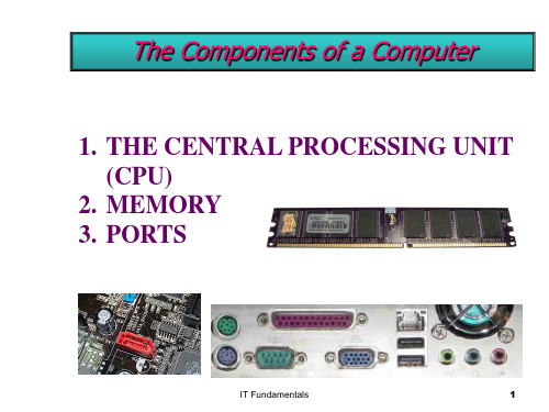 计算机基础双语课件-02Components of a Computer