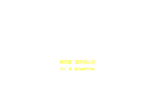 2021年浙江中考数学复习练习课件：§4.1 角、相交线与平行线