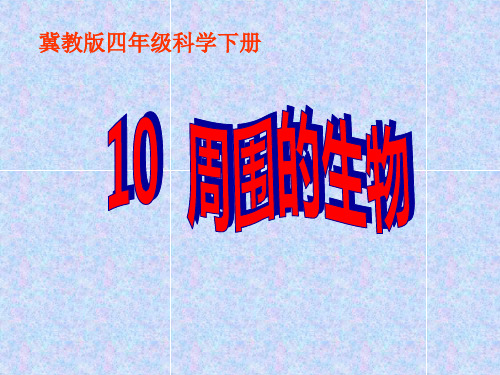 四年级下科学优秀课件-10周围的生物  ｜冀教版  (18页PPT)