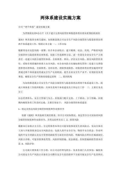 两体系建设实施方案