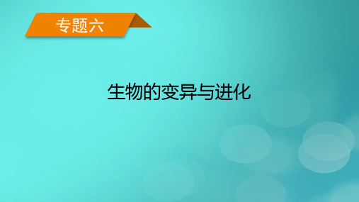 老高考适用2023版高考生物二轮总复习专题6生物的变异与进化第1讲生物的变异课件