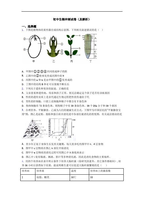 初中生物冲刺试卷(及解析)
