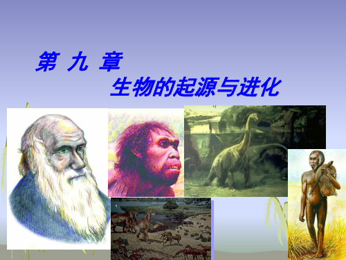 上海交通大学普通生物学第9章：生物的起源与进化