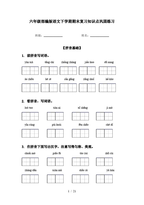 六年级部编版语文下学期期末复习知识点巩固练习