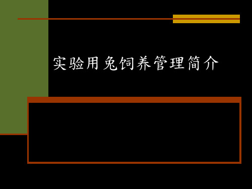 实验用兔饲养管理简介