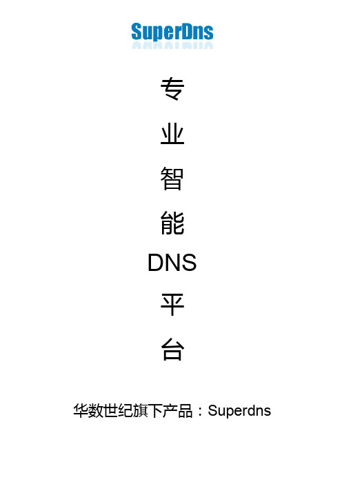 智能DNS产品