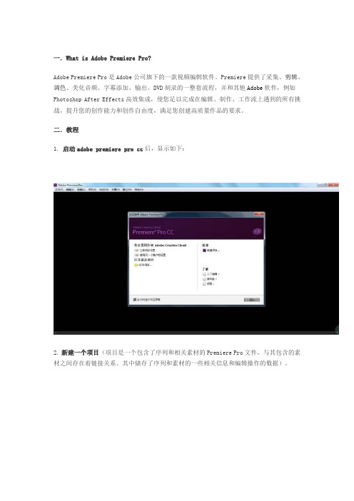 Adobe Premiere Pro入门新手教程