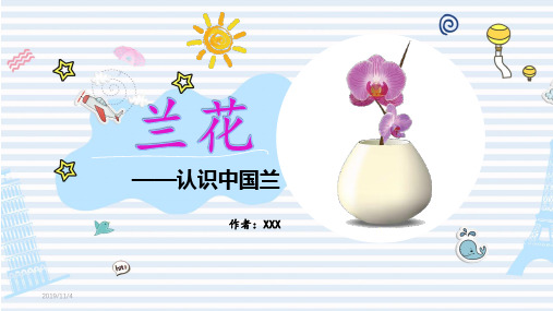 兰花介绍PPT课件