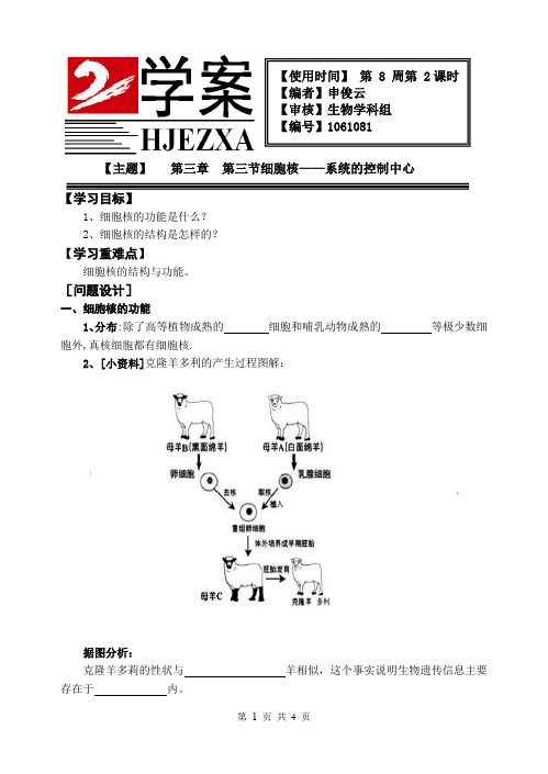 细胞核学案