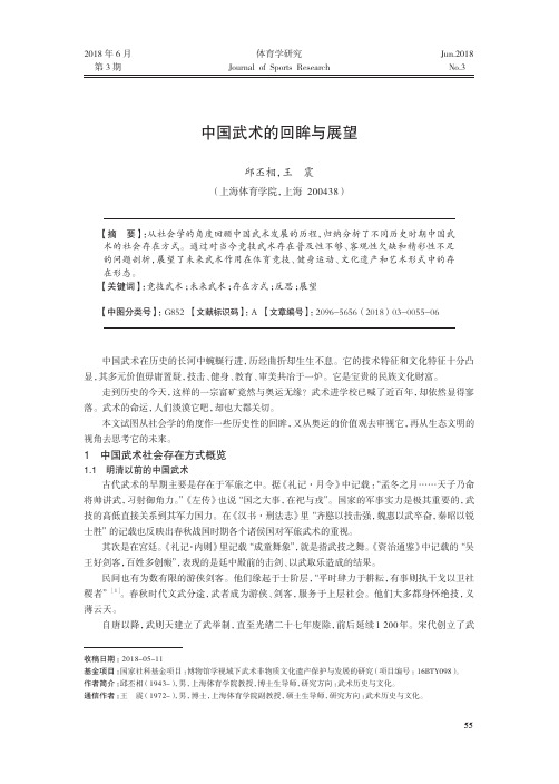 中国武术的回眸与展望
