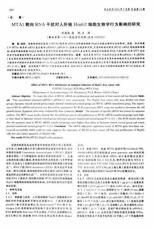 MTA1靶向RNA干扰对人肝癌HepG2细胞生物学行为影响的研究